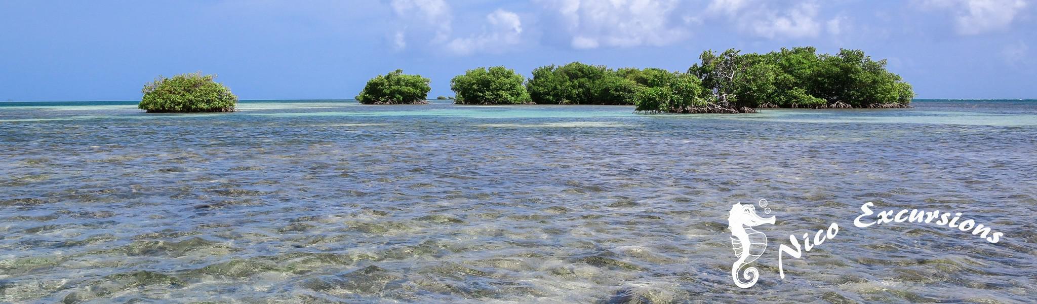 Avis clients Nico excursions Avis clients Nico excursions